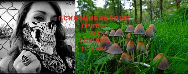 гашиш Арсеньев