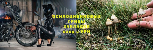 гашиш Арсеньев